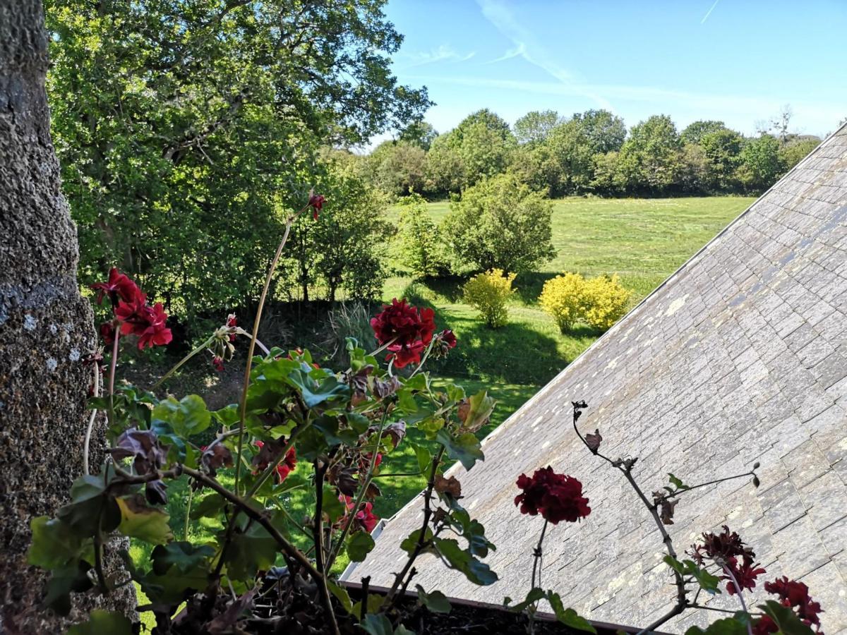 Manoir De La Foulerie Panzió Ancteville Kültér fotó